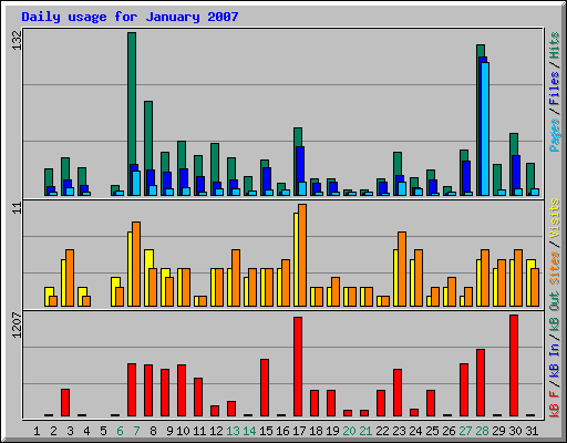 Daily usage for January 2007