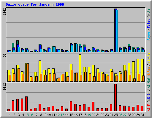 Daily usage for January 2008