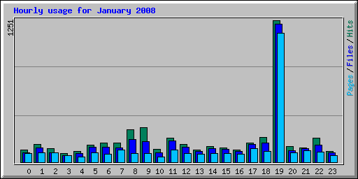 Hourly usage for January 2008